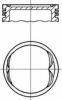 NüRAL 87-306800-10 Piston